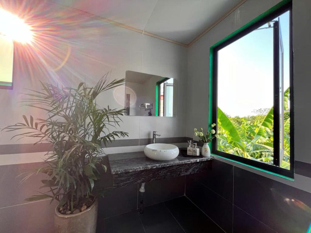 The Green House Homestay photo 3