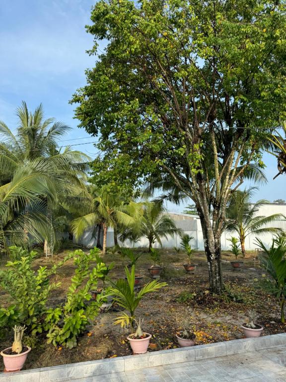 The Grand Coco Homestay photo 2