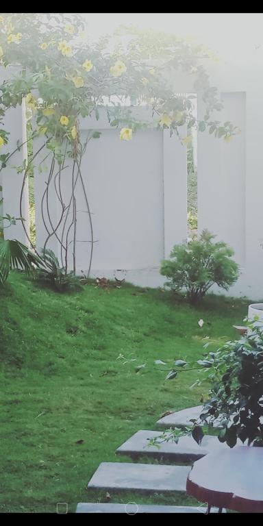 TRANG DOAN'S HOMESTAY photo 3