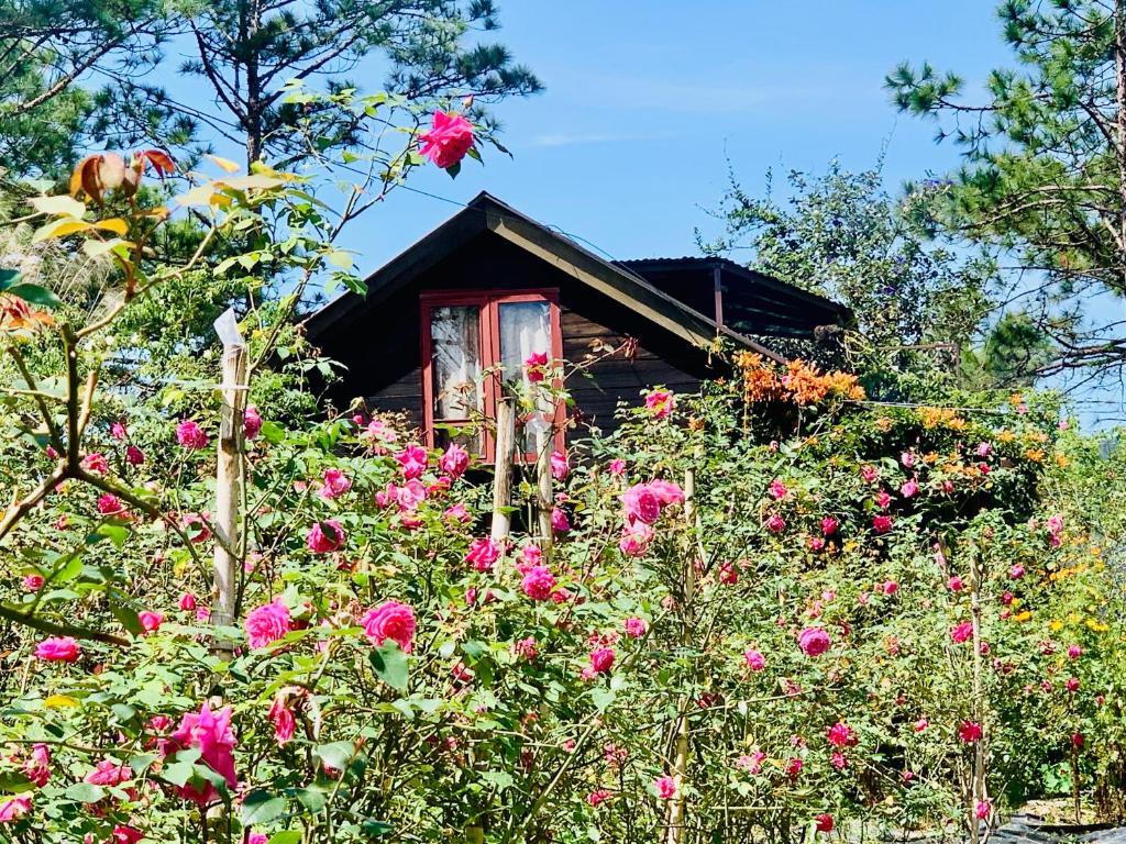 Romantic house 2 on a pine hill Dalat — photo 1