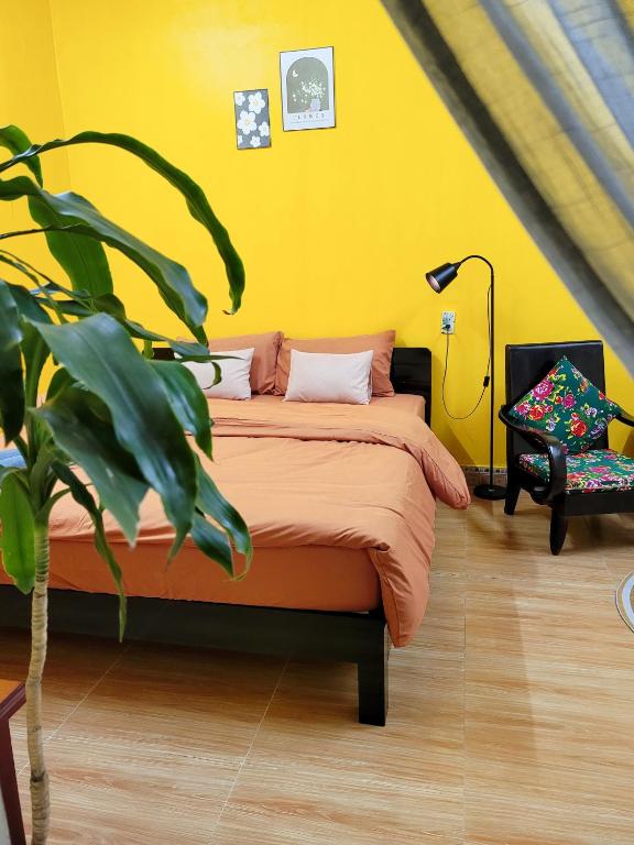 Tiny Garden House Cat Ba — photo 1