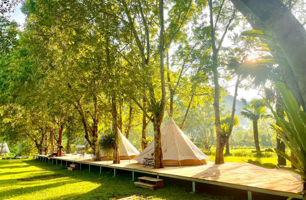 The BanBa Jungle Lodge Tuyên Quang — photo 1