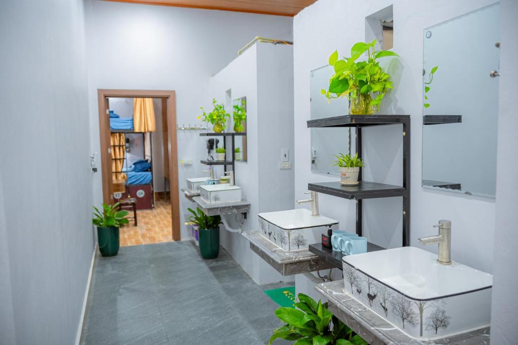 Tam Coc Sunshine Hostel photo 3