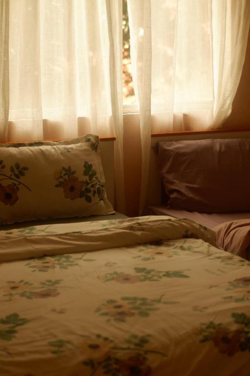 Xanh House NTT — photo 1