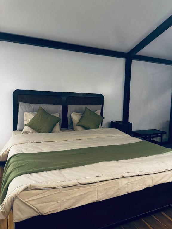 Tropical eglamping photo 3