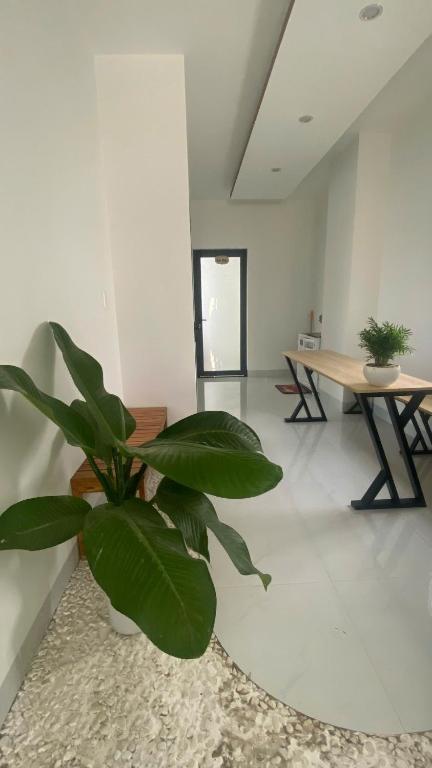 SÓNG Coffee & Homestay photo 3