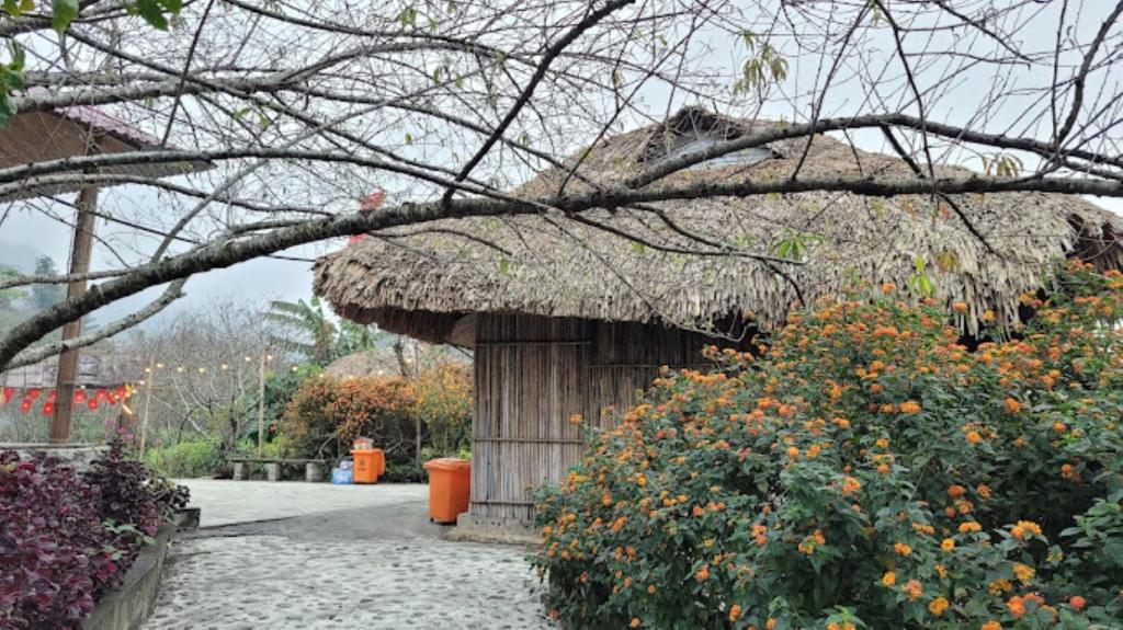 Y Sao Homestay photo 3