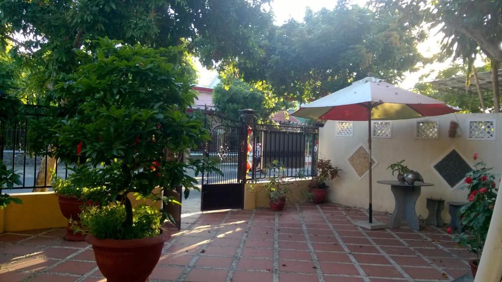 Sac Xanh Homestay — photo 1