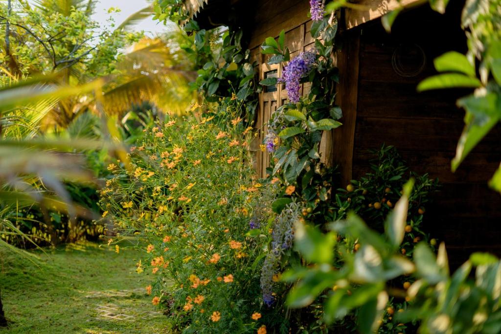 Xóm Sình Homestay & Farmstay Buôn Ma Thuột ĐakLak — photo 1