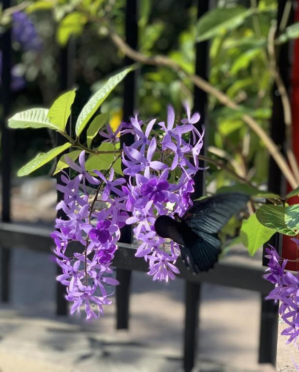 Khách Sạn An Bình photo 3