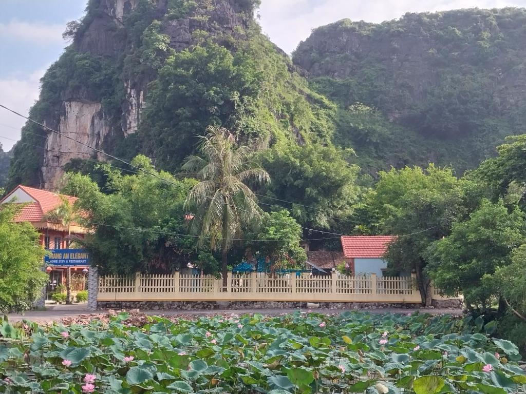 Trang An Elegant Homestay photo 2