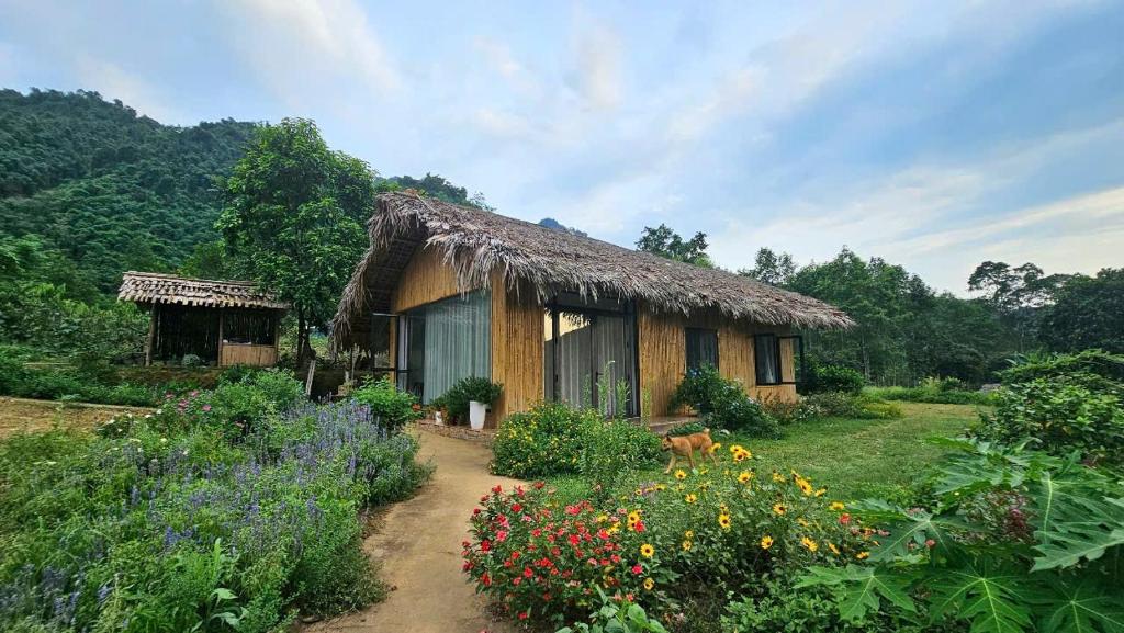 Sao Farmstay — photo 1
