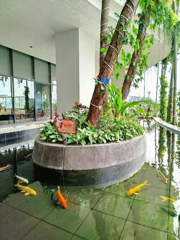 Sweet Home - Homestay apartment system at Citadines Marina Ha Long building — photo 1