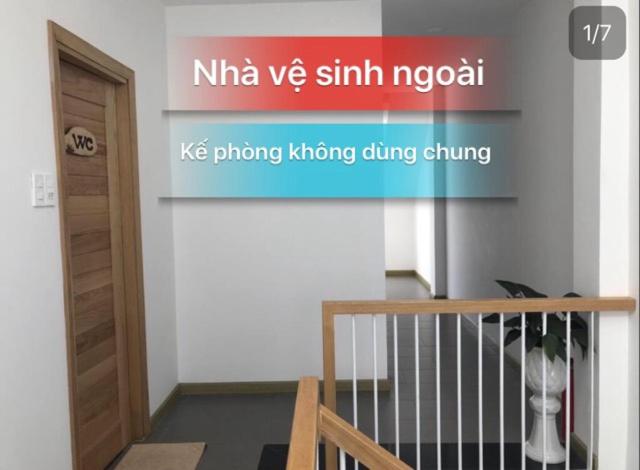 Hoa Hồng Miyako photo 3