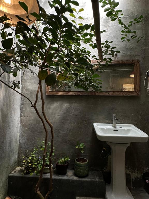 Tre House Dalat photo 3